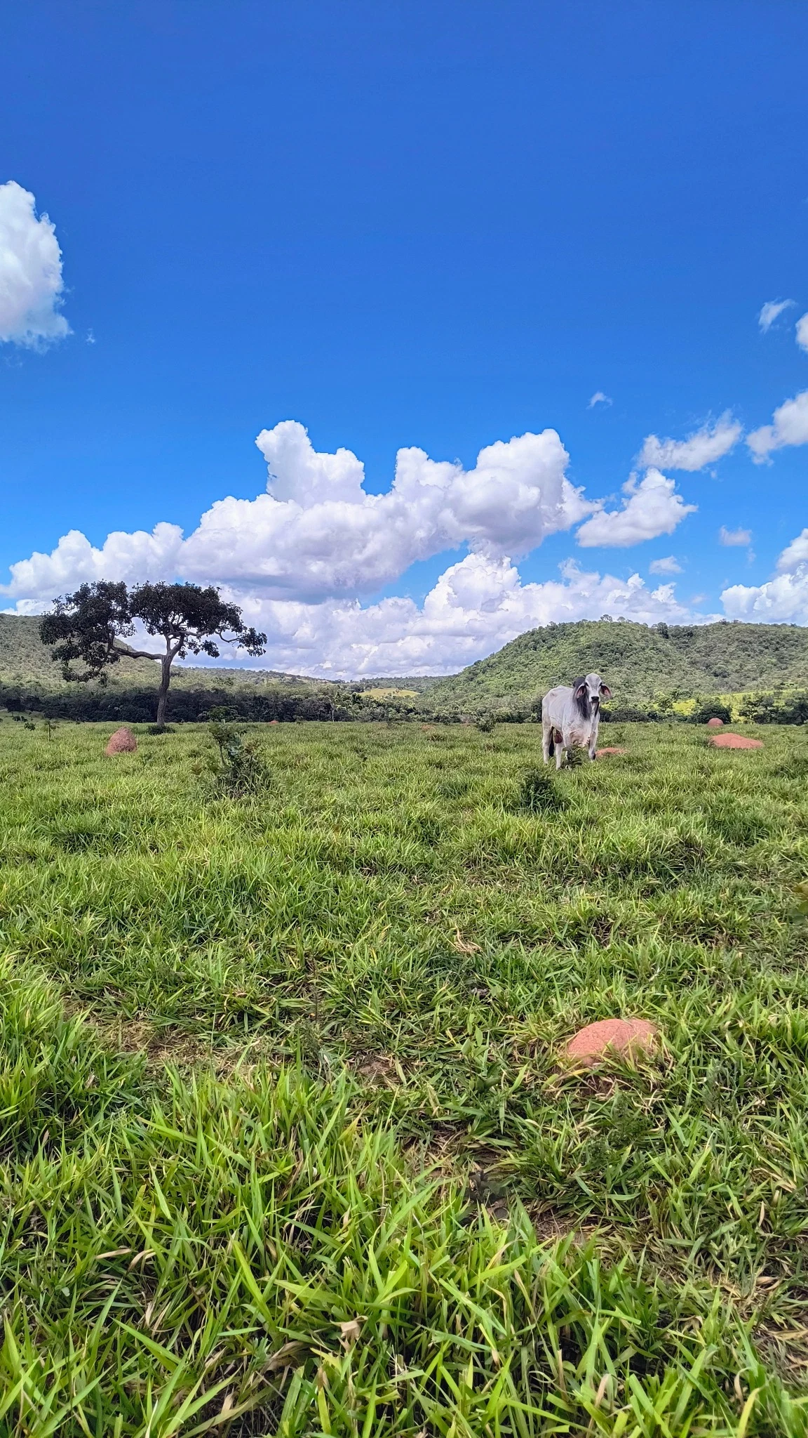 Vista rural