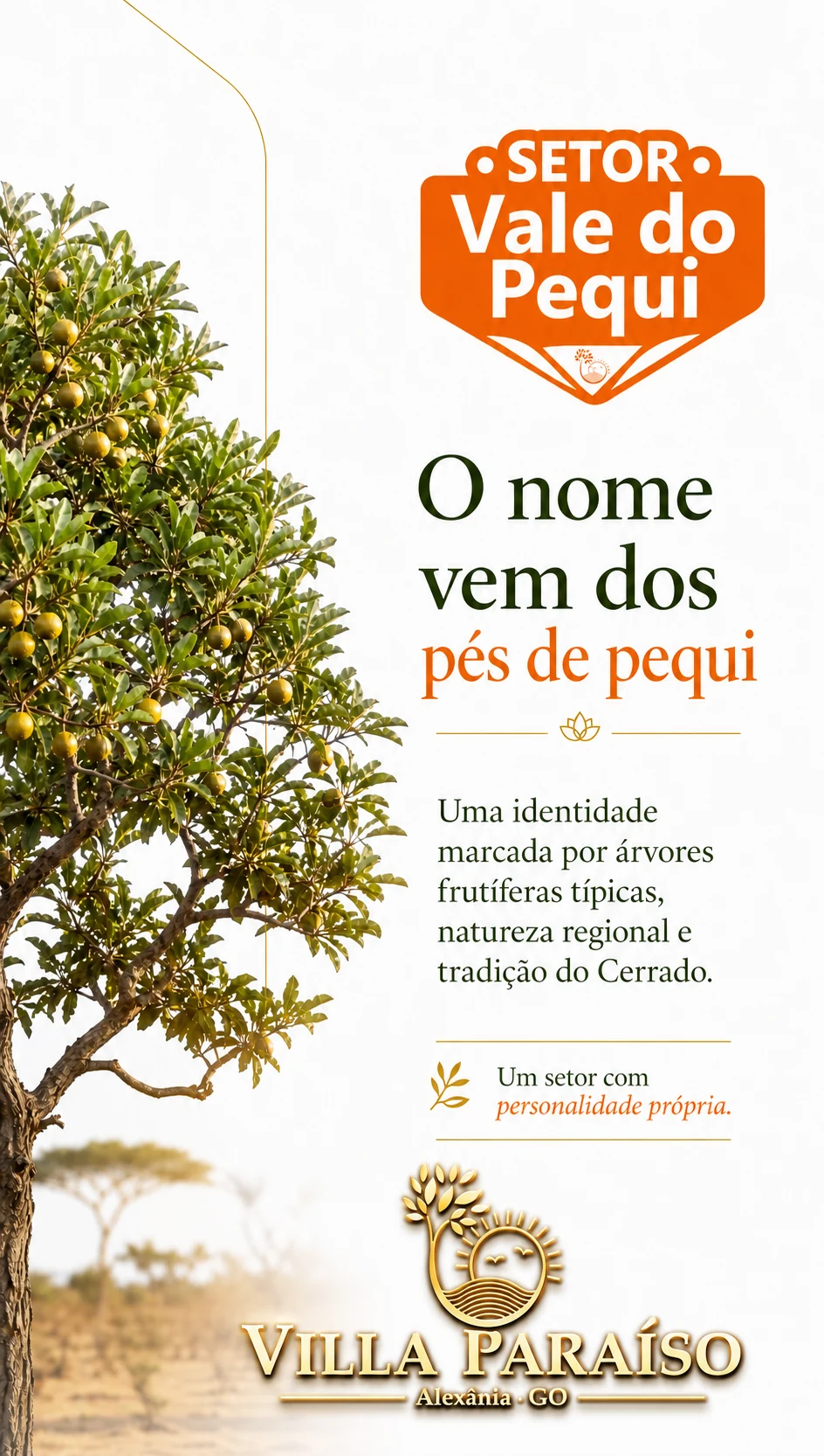 Galeria Vale do Pequi — imagem 4