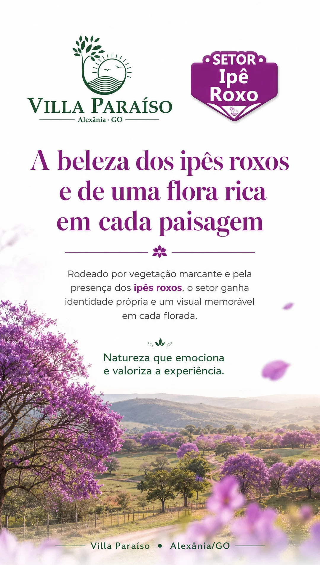 Galeria Ipê Roxo — imagem 4