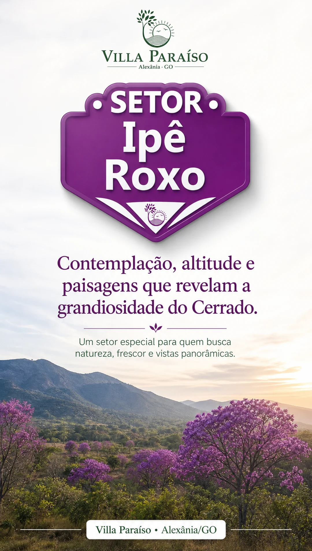Galeria Ipê Roxo — imagem 1