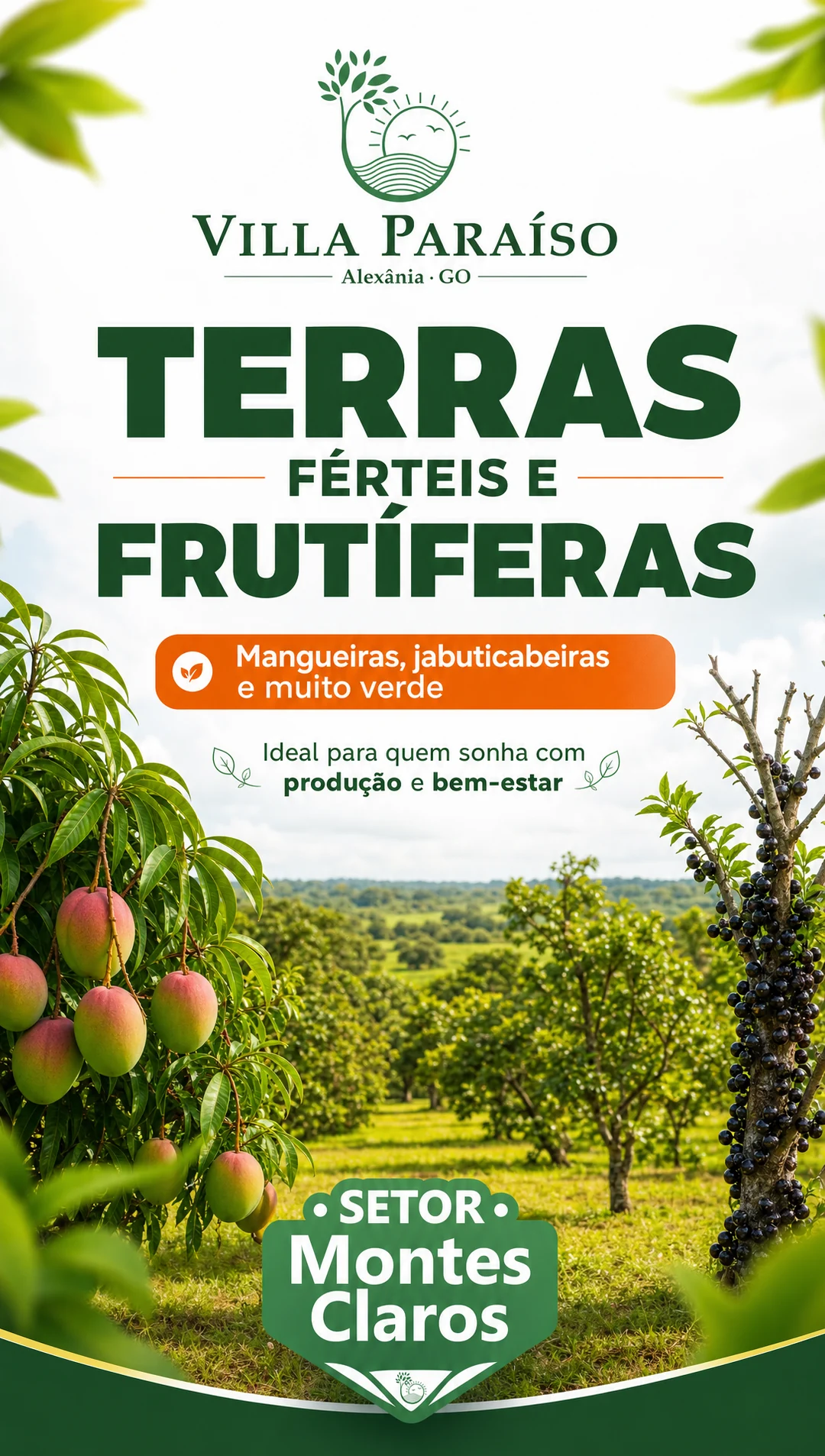 Galeria Montes Claros — imagem 4