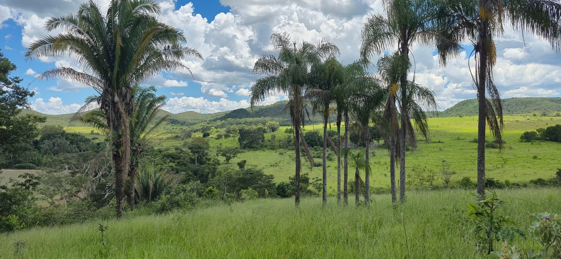 Paisagem real da Villa Paraíso
