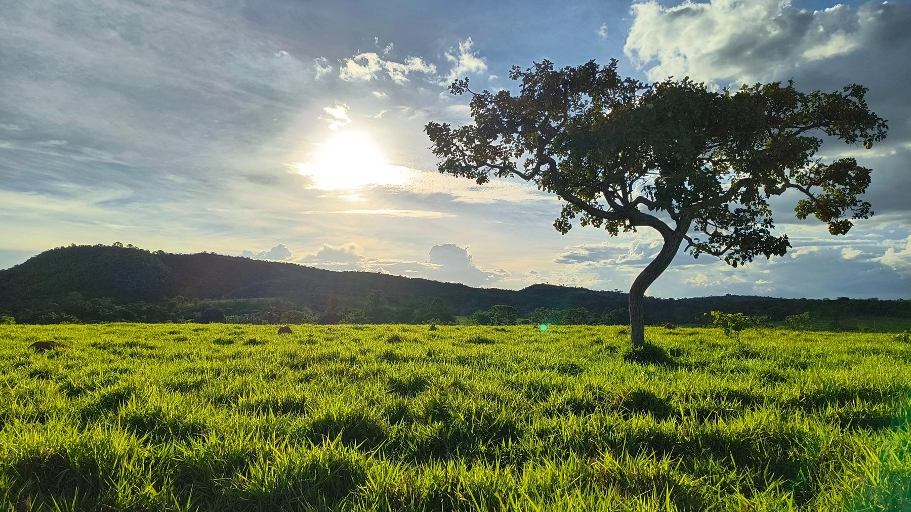 Paisagem do campo