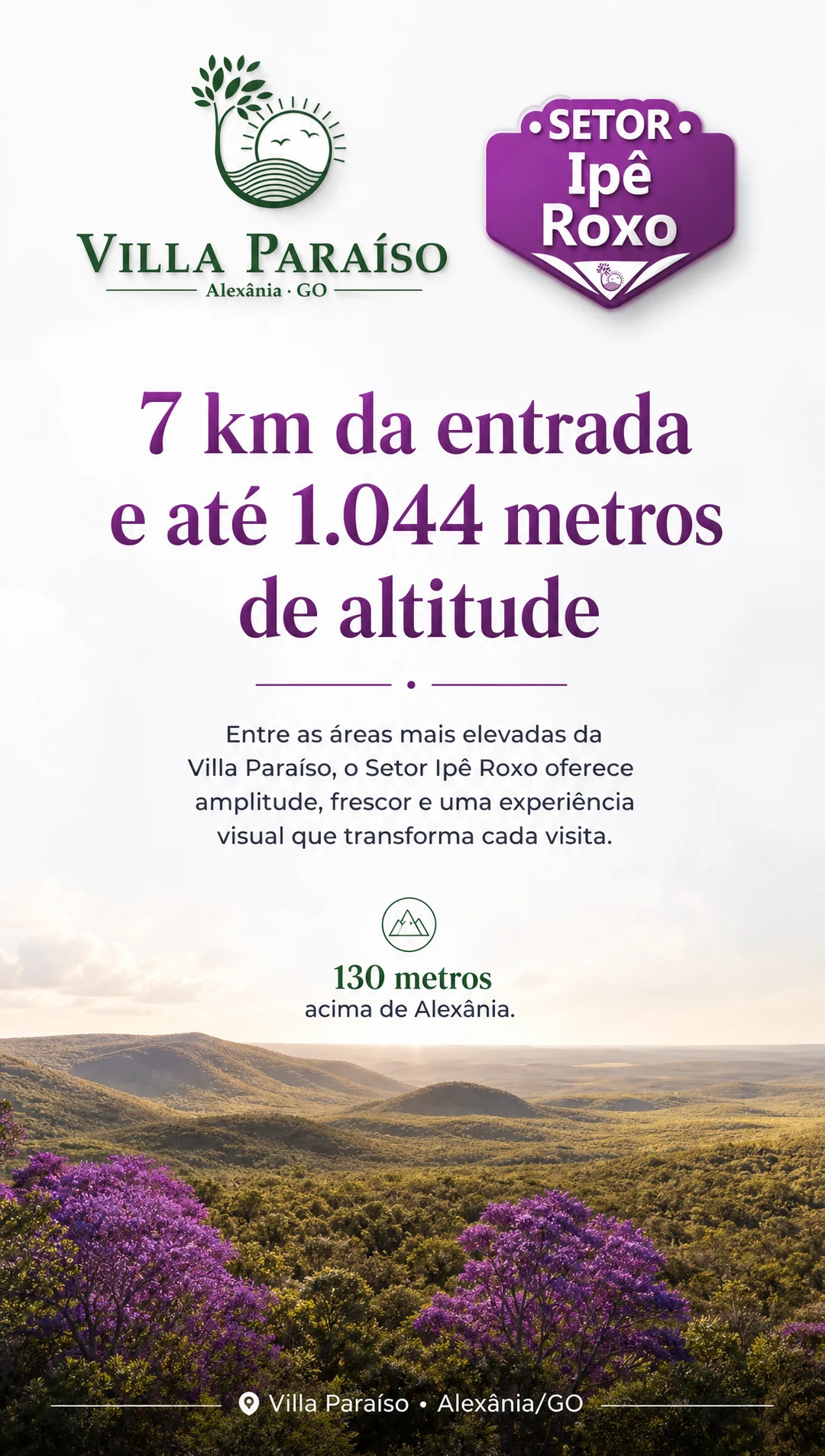 Galeria Ipê Roxo — imagem 2