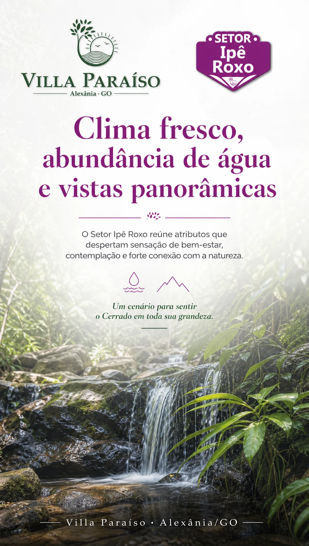 Galeria Ipê Roxo — imagem 5