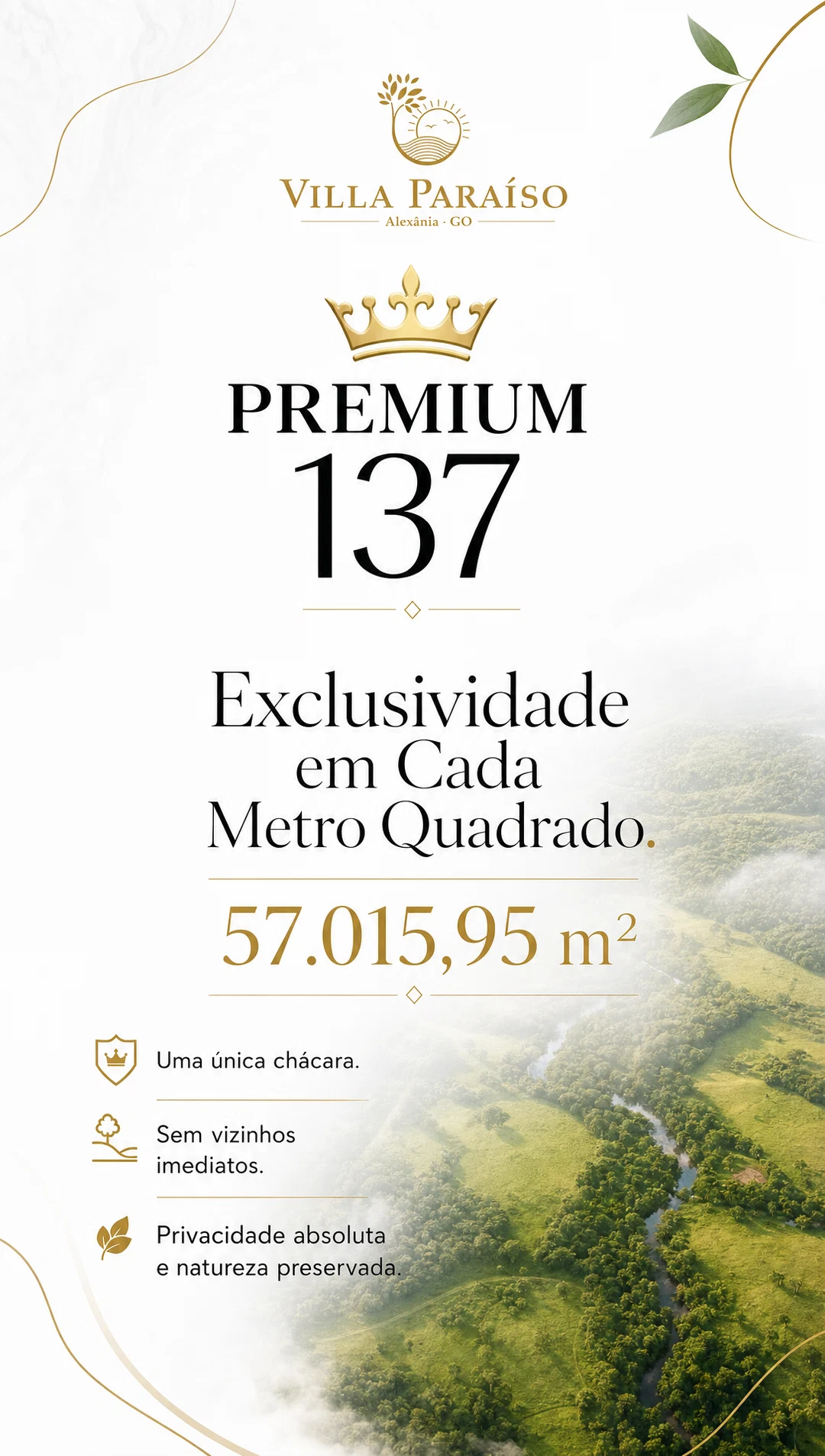 Galeria Premium 137 — imagem 2