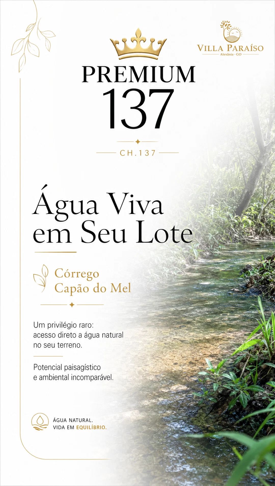 Galeria Premium 137 — imagem 5