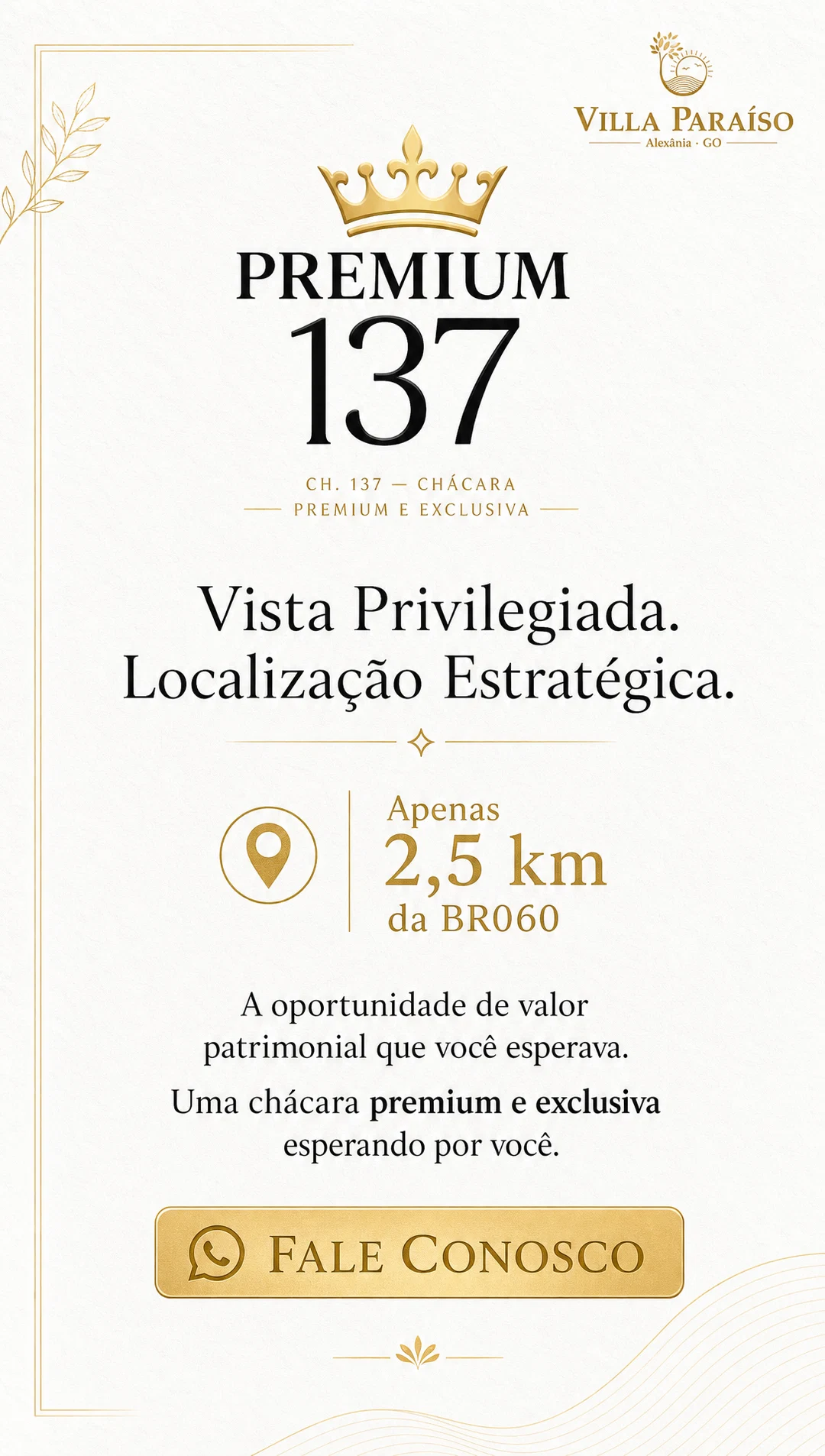 Galeria Premium 137 — imagem 6